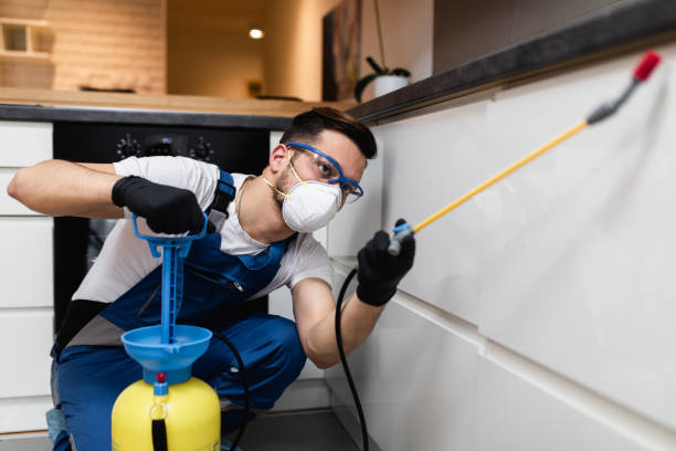Best Exterminator Services  in Cedartown, GA