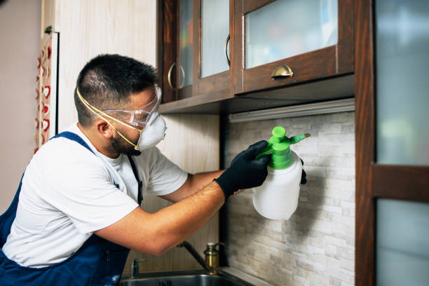 Pest Control Cost in Cedartown, GA