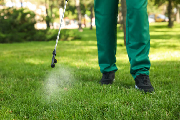 Best Pest Control for Businesses  in Cedartown, GA