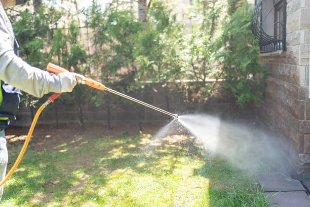Best Mosquito Control Services  in Cedartown, GA