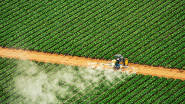 Best Pest Prevention Services  in Cedartown, GA