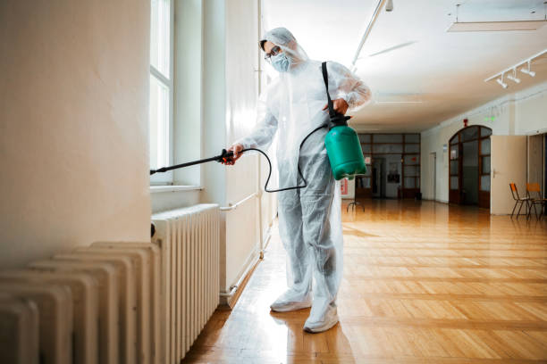 Best Flea Control Services  in Cedartown, GA